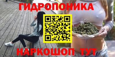 мяу мяу мука Будённовск
