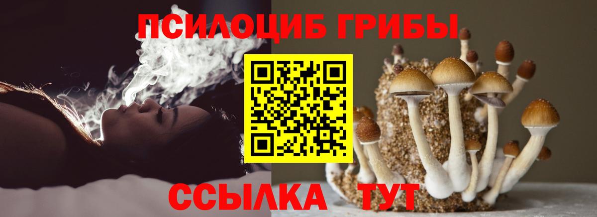 Галлюциногенные грибы Cubensis  Вход с VPN  Пушкино 